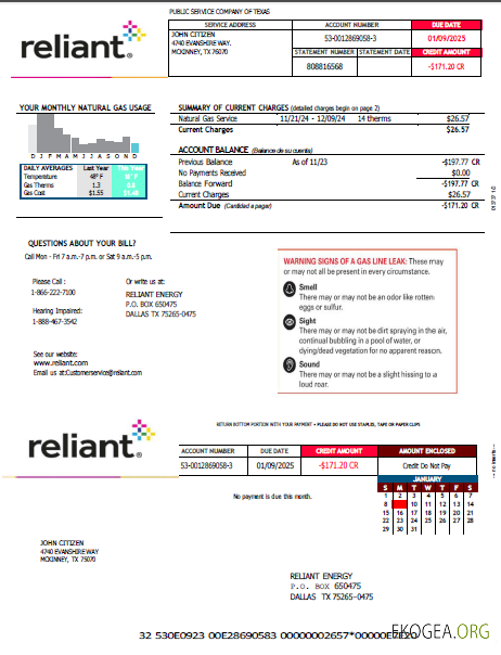 Usa Reliant energy utility bill template in word and pdf formats template